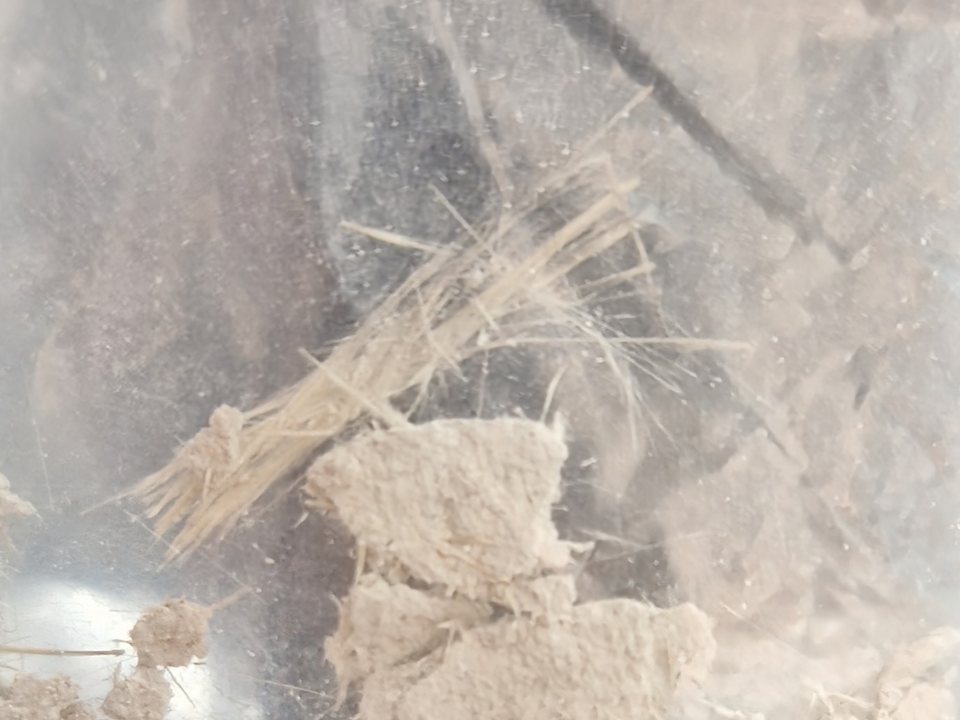 Asbestverdächtige Materialprobe in einem verschlossenen Probenbeutel